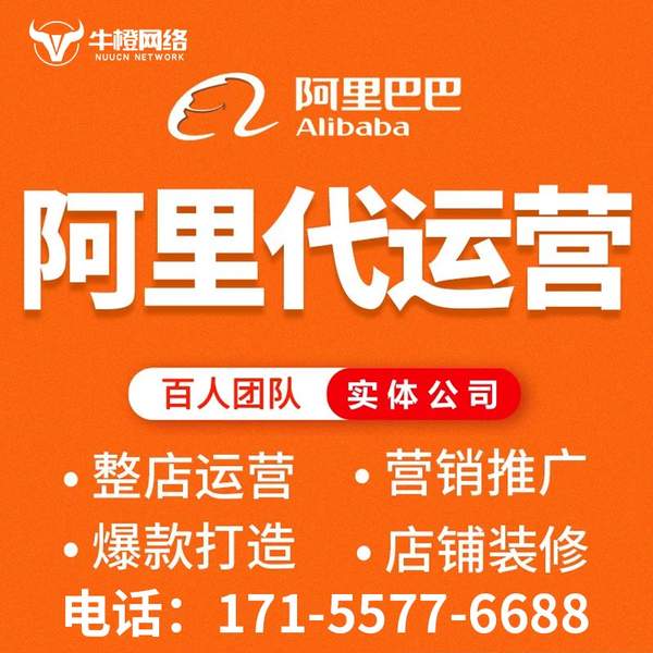 定西电商代运营