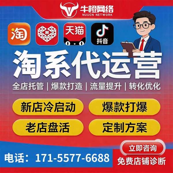 定西电商代运营