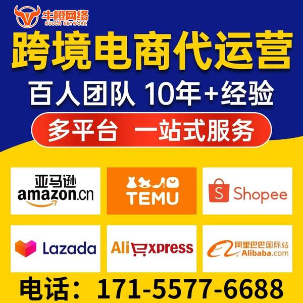 定西电商代运营