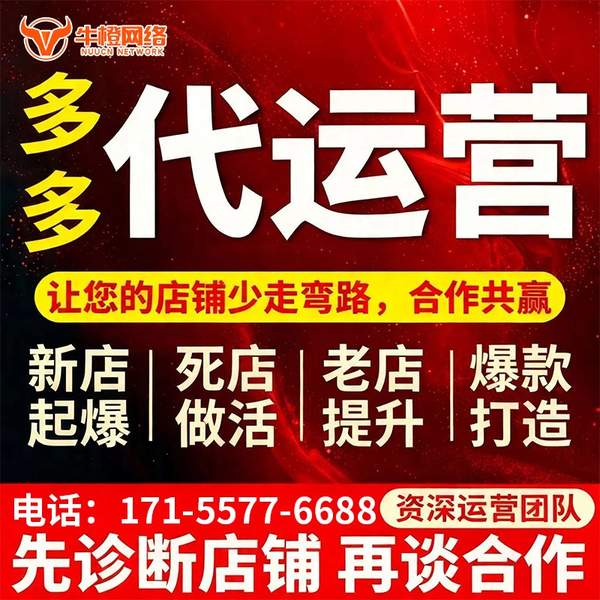 定西电商代运营