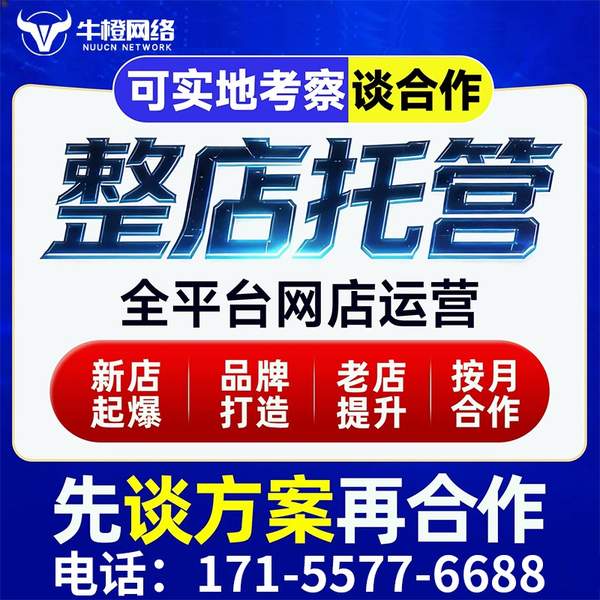 定西电商代运营