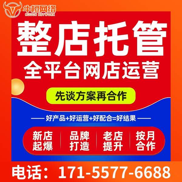 定西电商代运营