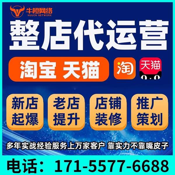 定西电商代运营