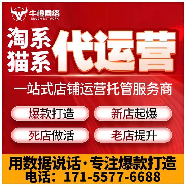 定西电商代运营